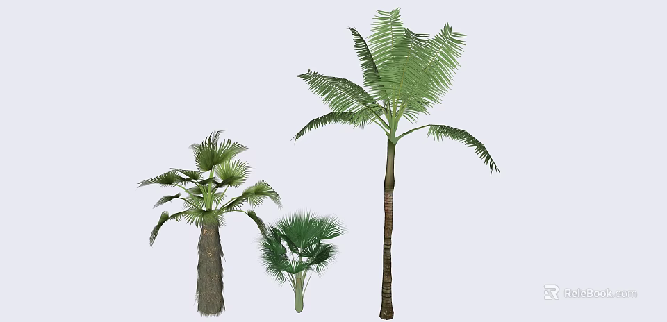 Different Arbor Trees With Tall And Small Sizes And Green Palm Leaves 3d model 