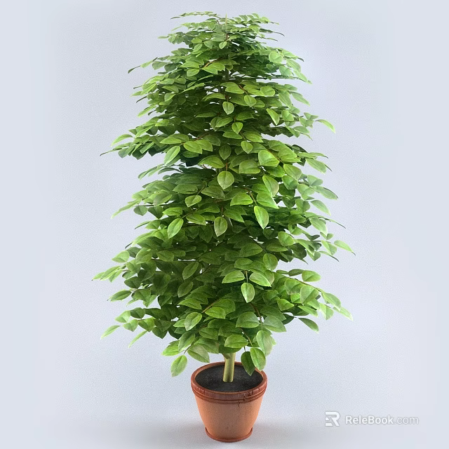 Lush Green Bonsai Potted Plant With Dense Foliage In Brown Pot For Indoor Decor 3d model 