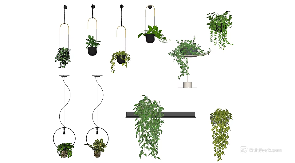 Various Styles Of Hanging Planters With Lush Green Trailing Plants For Home Decor 3d model 