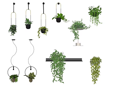 Various Styles Of Hanging Planters With Lush Green Trailing Plants For Home Decor 3d model