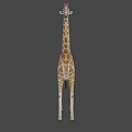 Majestic Tall Spotted Giraffe With Long Neck In Natural Outdoor Grassland