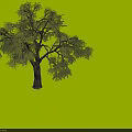 Two Arbor Trees With Lush Green Leaves And Brown Trunks Against Gray Background