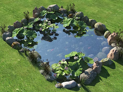 Garden Landscape with Heart Shaped Pond Lily Pads Lotus Flowers Koi Fish and Stone Surroundings 3d model