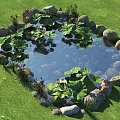 Garden Landscape with Heart Shaped Pond Lily Pads Lotus Flowers Koi Fish and Stone Surroundings
