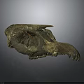 Ancient Animal Fossilized Skull With Weathered Texture And Dark Background 3d model