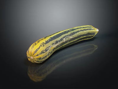 Fresh Striped Zucchini Vegetable With Yellow And Green Patterns On Black Surface 3d model