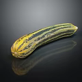 Fresh Striped Zucchini Vegetable With Yellow And Green Patterns On Black Surface