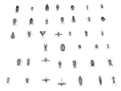 Various Black And White Insect Sketch Illustrations With Different Species Types 3d model