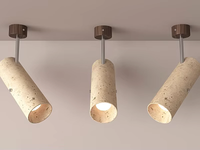 Modern Ceiling Downlights And Spotlights With Cylindrical Design Warm Light And Wooden Base 3d model