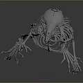 Detailed Rat Skeleton Anatomical Model Isolated On Dark Background For Scientific Study 3d model