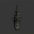 Realistic Gray Fish Sculpture With Detailed Texture On Dark Reflective Surface