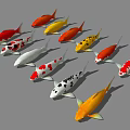 Various Colored Koi Fish Displayed Together in Multiple Hues and Tones