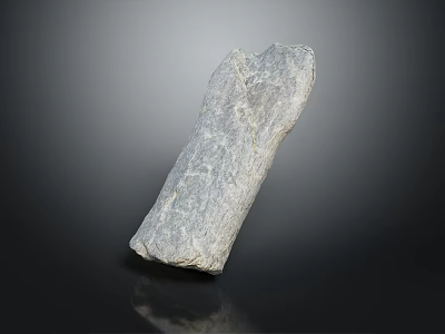 Gray Petrified Wood Stone with Natural Textured Surface on Black Background 3d model