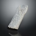 Gray Petrified Wood Stone with Natural Textured Surface on Black Background