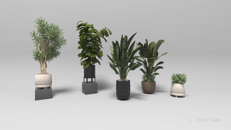 Various Potted Bonsai Plants with Decorative Pots in Different Sizes and Leaf Shapes 3d model 