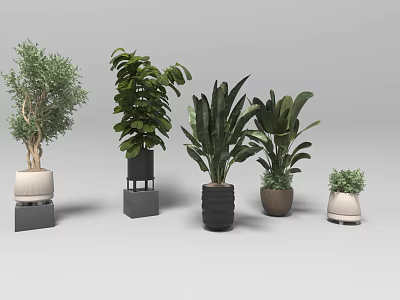 Various Potted Bonsai Plants with Decorative Pots in Different Sizes and Leaf Shapes 3d model