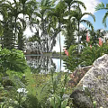 Lush Tropical Arbor Trees in Natural Garden With Reflective Pond And Colorful Flowers
