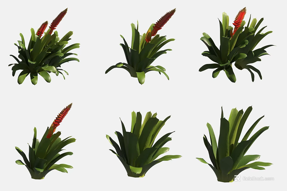 Hanging Basket Plants with Green Leaves and Red Blooms for Indoor Home Decoration 3d model 