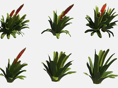Hanging Basket Plants with Green Leaves and Red Blooms for Indoor Home Decoration 3d model