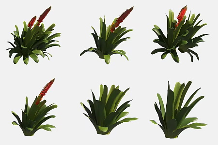 Yingge pineapple flowers and plants 3d model