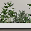 Plant heap 3d model