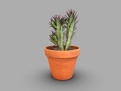 Green Cactus Plant with Red Spines in Orange Terracotta Pot on Gray Background 3d model