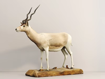 Detailed Lifelike Antelope Taxidermy Mount For Home Decor On Wooden Base 3d model