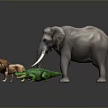 Wild Animals Display Featuring Elephant Lion And Crocodile On Dark Background 3d model