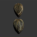 Shell Scallop Mussel Sea Animal Game Animal Cartoon Character Game Character 3d model
