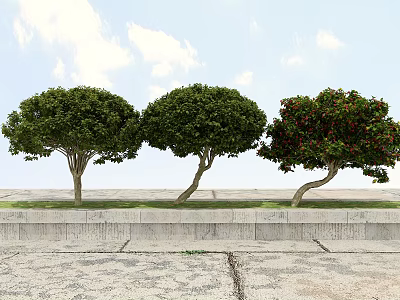 Three Shrubs with Curved Trunks Green Foliage and Red Berries on Stone Pavement Under Sky 3d model