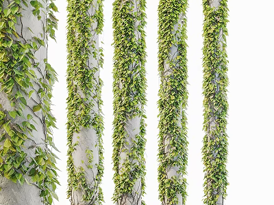 Lush Green Vines Covering White Columns With Dense Fresh Foliage 3d model
