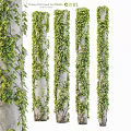 Lush Green Vines Covering White Columns With Dense Fresh Foliage