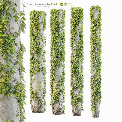 Lush Green Vines Covering White Columns With Dense Fresh Foliage 3d model
