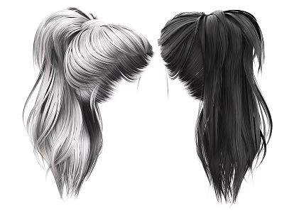 Hair Hairstyle Featuring Two Ponytails Silver Gray And Black Color Design 3d model