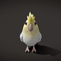 Cute Game Movie Character Parrot With Yellow Crest White And Yellow Feathers And Pink Beak