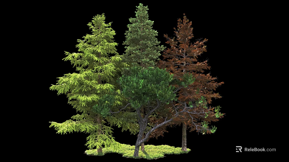 Various Arbor Trees With Green And Brown Foliage And Lush Grass 3d model 