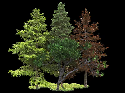 Various Arbor Trees With Green And Brown Foliage And Lush Grass 3d model