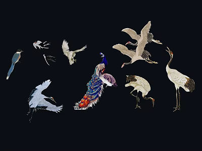 Various Colorful Birds Including Peacock Cranes And Flying Species On Black 3d model
