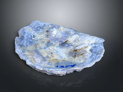 Blue And White Irregular Seashell With Textured Surface And Blue Mark 3d model
