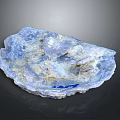 Blue And White Irregular Seashell With Textured Surface And Blue Mark 3d model