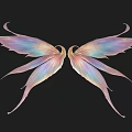 Delicate Vibrant Iridescent Fairy Wings With Colorful Gradient On Black Background