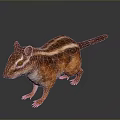 3D Striped Chipmunk Character With Red Eyes For Game Movie Roles