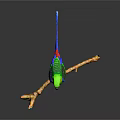 Modern Parrot Xuan Feng Parrot Budgie Shang Parrot 3d model
