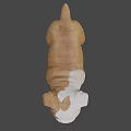 Realistic Brown And White Bulldog Puppy 3D Model With Standing Pose