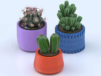 Colorful Textured Potted Cactus Plants With Spiky Columnar Shapes In Purple Blue Orange Pots 3d model