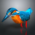 Vibrant Blue Kingfisher with Orange Belly Long Beak Red Feet on Dark Background Reflection