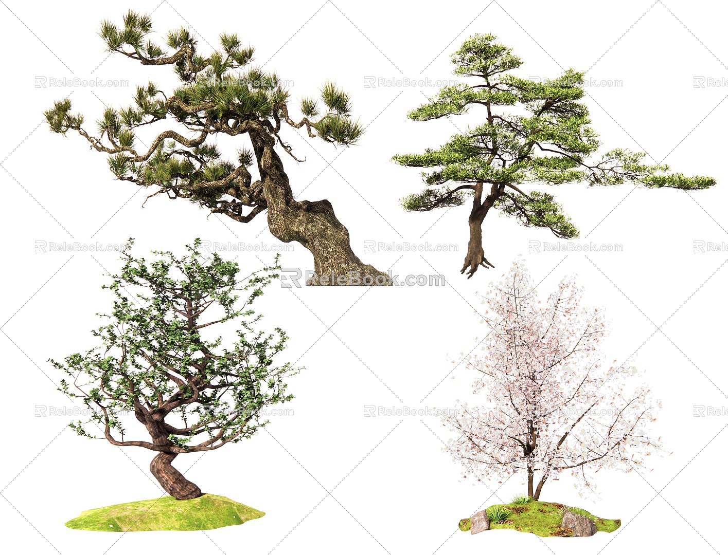 Modeling pine landscape tree tree tree shrub color leaf plant black pine flower shrub modeling tree ornamental tree 3d model