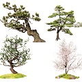 Modeling pine landscape tree tree tree shrub color leaf plant black pine flower shrub modeling tree ornamental tree 3d model