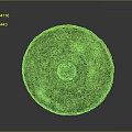 Ancient Bronze Mirror With Circular Shape Intricate Carvings Text Inscriptions And Green Patina