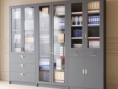 Gray Office File Cabinet With Glass Doors Drawers And Organized Folders Books 3d model
